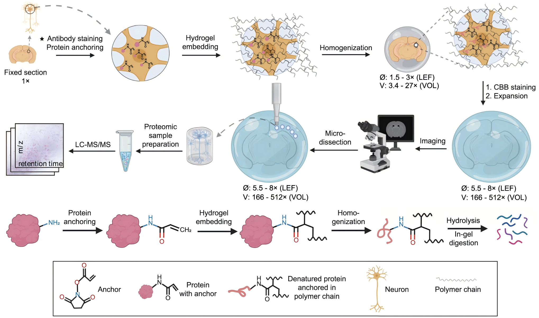 ProteomEx